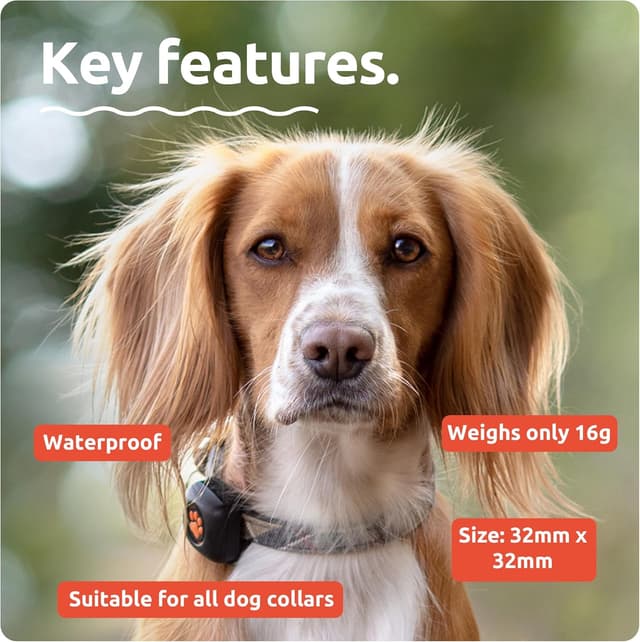 Detalle de PitPat dog activity monitor, no GPS