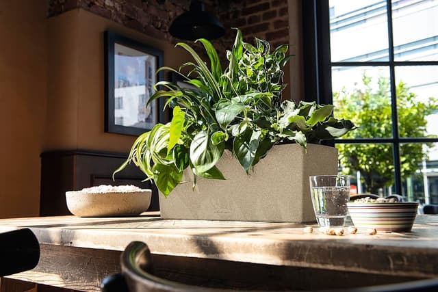 Thumbnail 5 de Lechuza Balconera Stone 50 sabbia beige