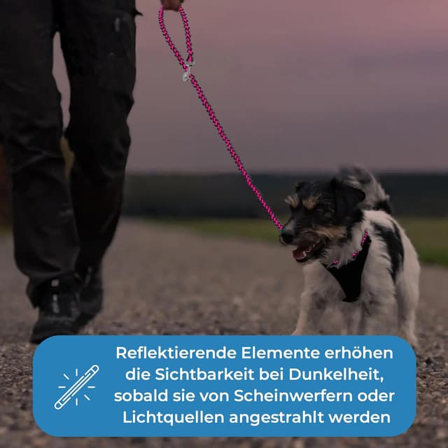 Detalle de Testnote Sehr gut – reflektierende Hundeleine aus Paracord, 2 m, verstellbar, wetterfest & reißfest bis 250 kg