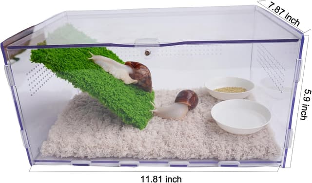 Thumbnail 3 de Jinymral Snail Terrarium Kit with Climbing Wall