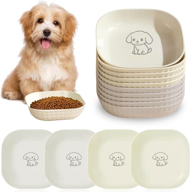 Detalle de 10er-Set flache Katzen- und Hundenäpfe aus PP (Futter- & Wassernapf, Antischlingnapf-Ansatz) – 10 Stück