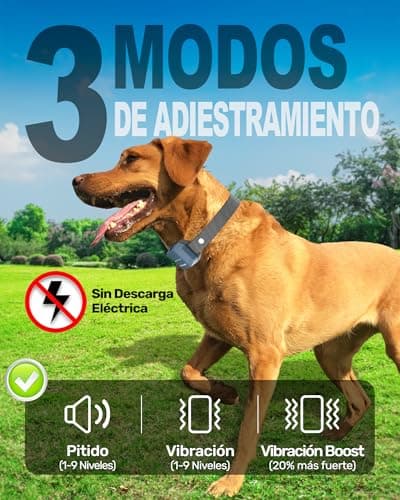 Detalle 2 de Staalguard Collar de Adiestramiento para Perros 3000m