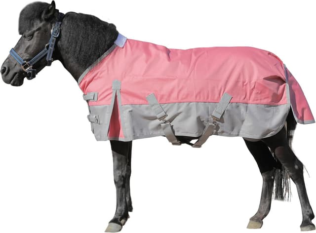 Detalle de Mini Shetland Pony Turnout Rug 3'3