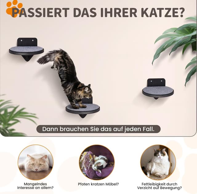 Detalle de XL Premium Kletterwand Katzen aus Birkenholz – 3er-Set Katzentreppen für die Wandmontage