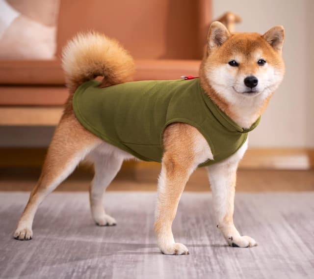 Thumbnail 6 de Blue Dream Island Pet Clothes Dog Cold Weather Coat in Olive Green (with fleece vest and leash ring)