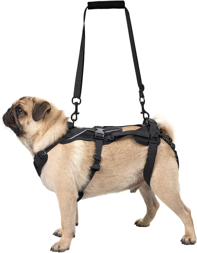 Detalle de OneTigris Hopper harnais pour chien taille S (noir) avec 2 poignées pour soutien et rééducation