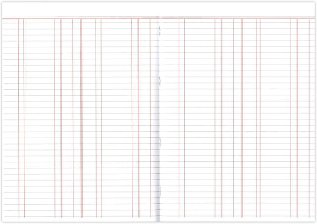 Detalle 2 de Silvine A4 Book Keeping Ledger (Double Entry) – 32 Pages, Ref SJA4L-P (Pack of 6)