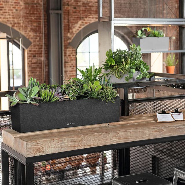 Thumbnail 5 de LECHUZA Balconera Stone 80 grafite nera