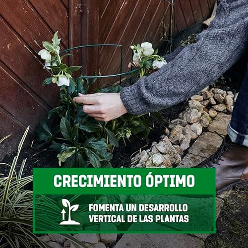 Thumbnail 4 de Kit GardenGloss 10 tuteurs 70x40 cm ⚙