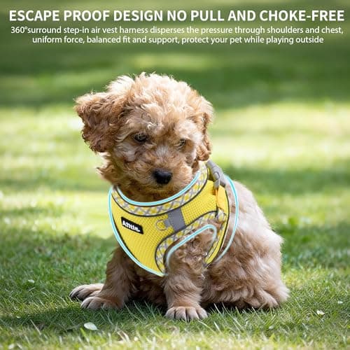 Thumbnail 4 de AIITLE Harnais et laisse pour chien, anti-traction, jaune XS ⚙