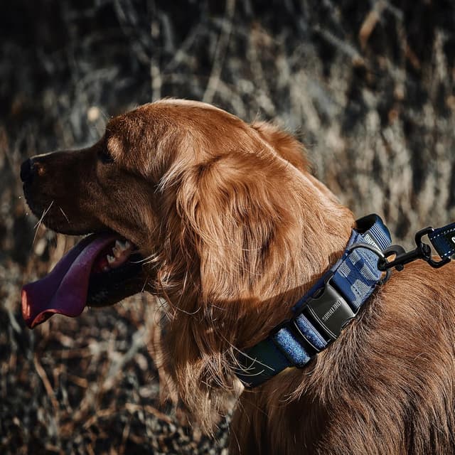 Thumbnail 6 de OneTigris Tactical Dog Collar with Handle (M, Navy Blue) for Large Dogs