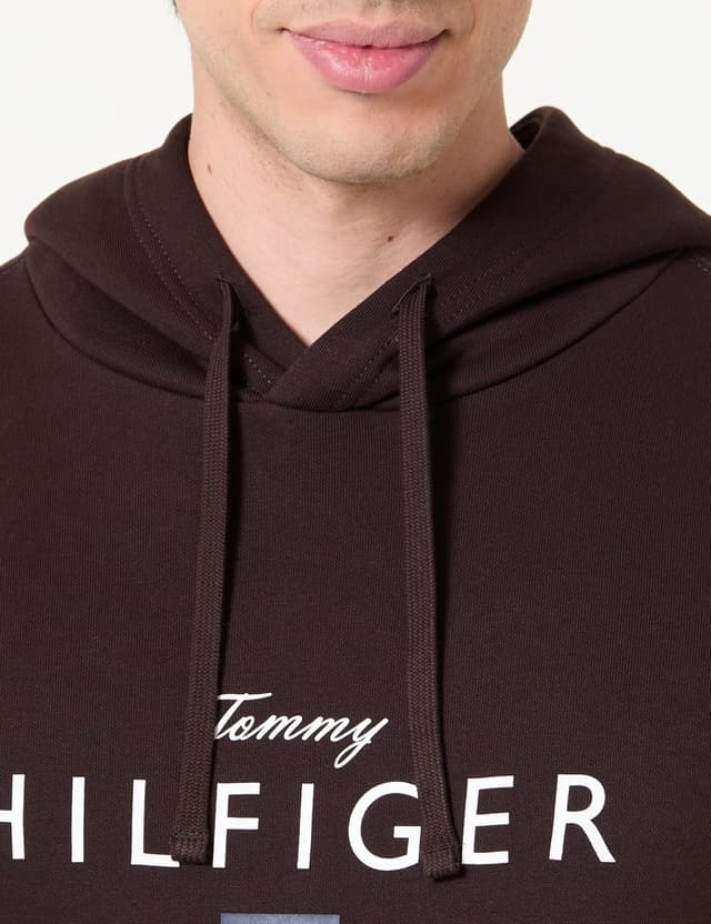 Detalle 2 de Hoodie Tommy Hilfiger Brand Love Big