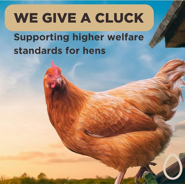 Thumbnail 5 de Eazy Egg Free Range Egg Whites Liquid 12 x 1L