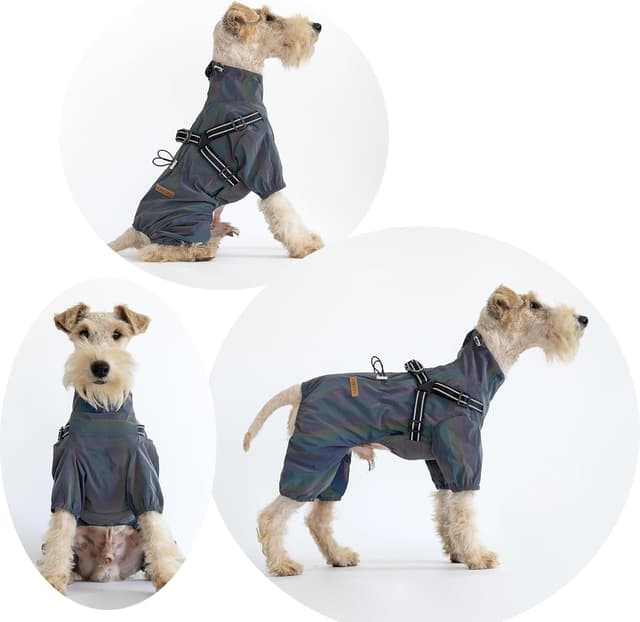 Thumbnail 6 de BT Bear Dog Harness Raincoat (Laser Grey L) waterproof dog jacket with reflective strips