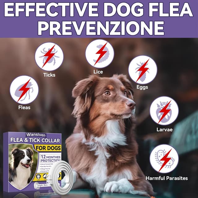 Detalle de Wansiven collier anti-puces réglable 65 cm imperméable pour chien