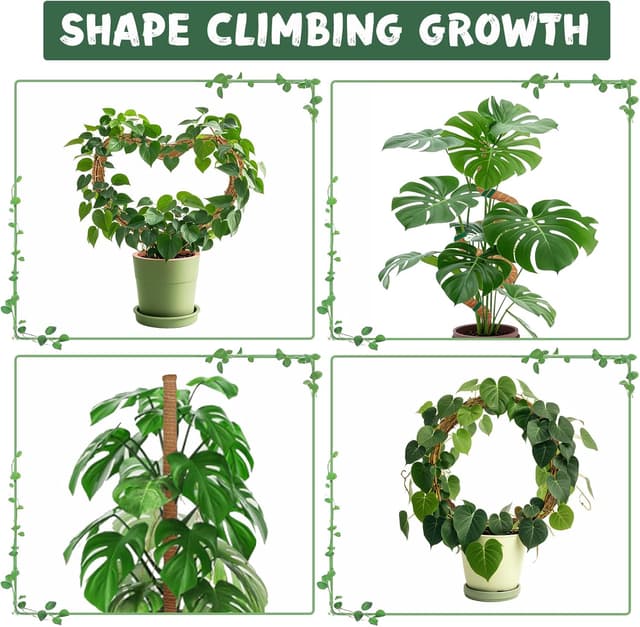 Thumbnail 2 de SZMDLX Moss Pole 160 cm Bendable Coir Plant Support