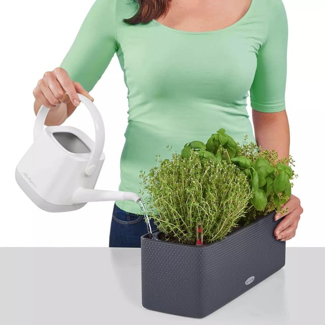 Thumbnail 6 de LECHUZA CUBE Triple Grigio Ardesia 13684