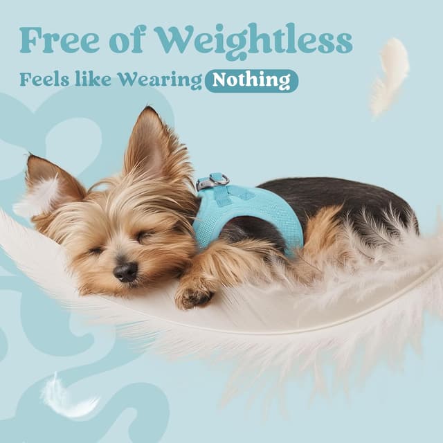 Detalle de rabbitgoo Dog Harness Small Dog Step-in Soft Mesh Puppy Harness (Mint Blue, S)