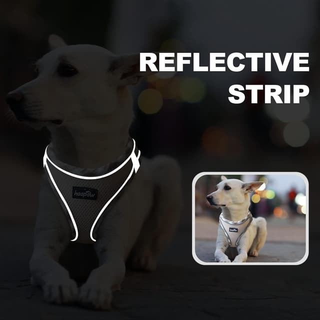 Thumbnail 4 de haapaw Dog Harness and Lead Set No-Pull, Reflective Vest