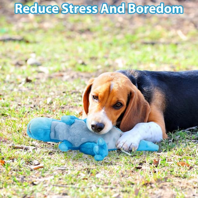 Thumbnail 4 de IOKHEIRA Squeaky Tyrannosaurus Dog Toy