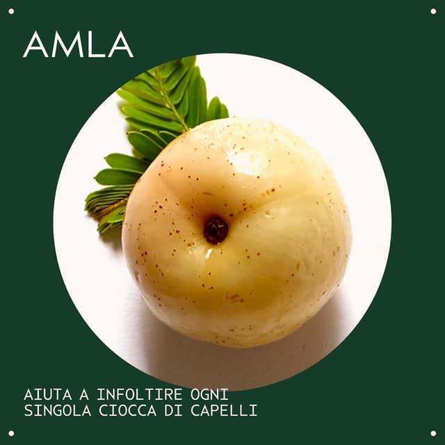 Detalle de Aveda Men Pure-Formance Thickening Paste