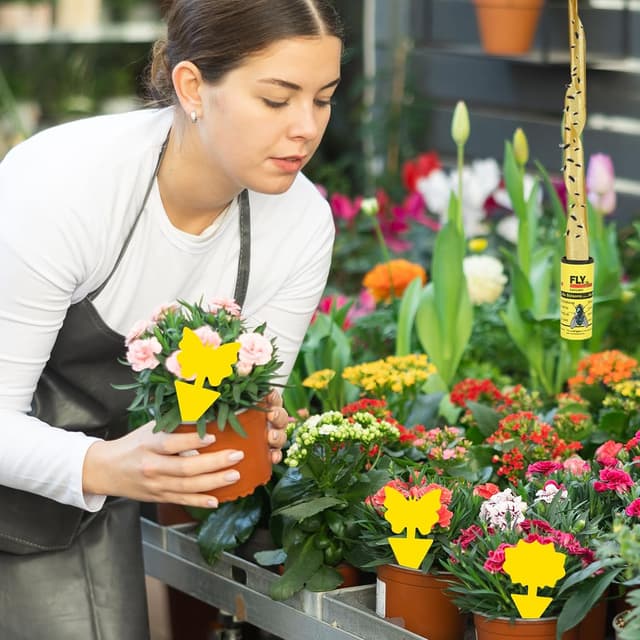 Detalle 2 de 50 Pack Fly Catcher (30 Fly Strips + 20 Fungus Gnat Killer) TRllTECH for indoor and outdoor use