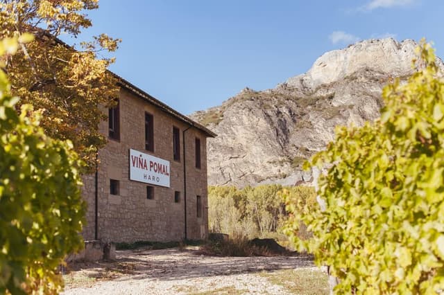 Detalle 2 de VIÑA POMAL Crianza 100% Tempranillo, Vino Tinto Rioja 🍷