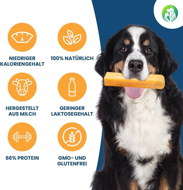 Detalle de Dilecti Käse-Kauknochen für Hunde L