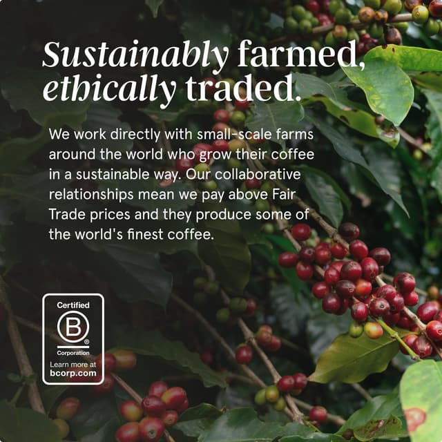 Detalle 2 de Grind Baileys Coffee Pods Pack 60 – 100% Arabica