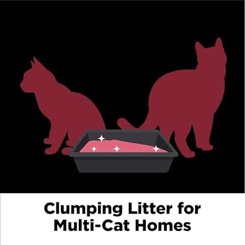Thumbnail 4 de ARM & HAMMER Clump & Seal Platinum Cat Litter 18 lb 🐱