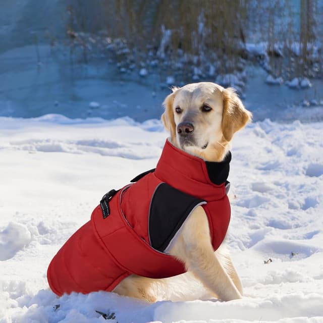 Thumbnail 6 de LeLePet Lelepet Dog Winter Coat (Waterproof, Fleece Lined, Reflective Strips) – Red, XL