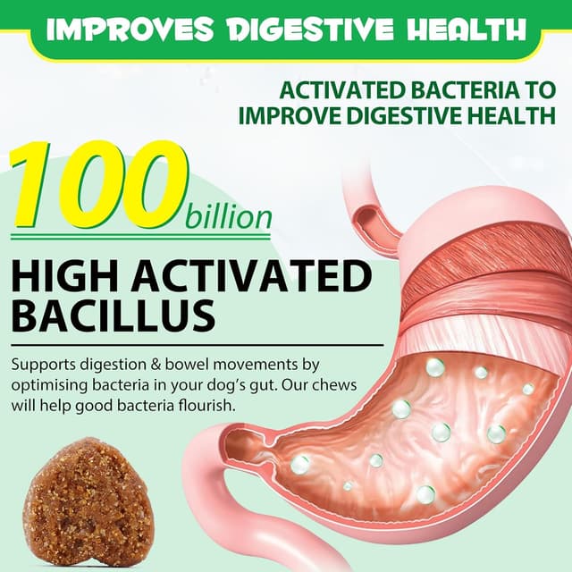 Thumbnail 5 de Generico Probiotico per Cani 60 Chews