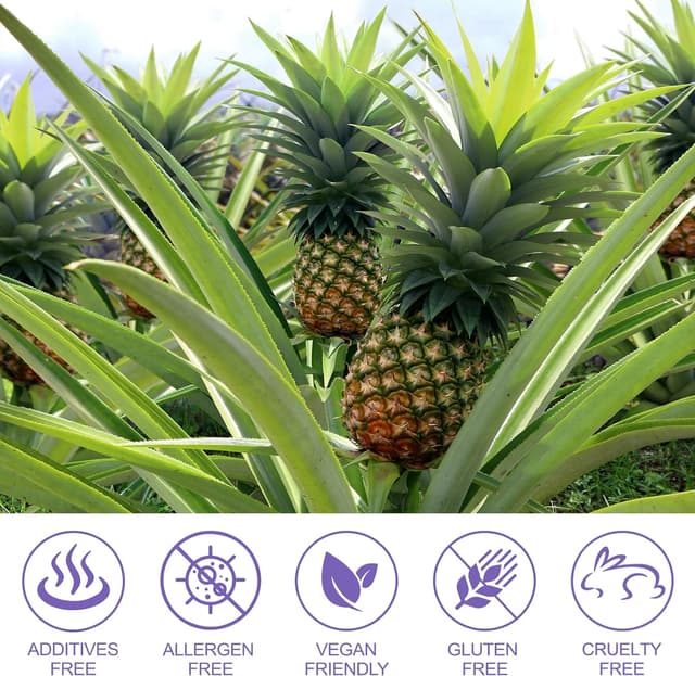 Detalle 1 de Gummies d’équilibre féminin 120