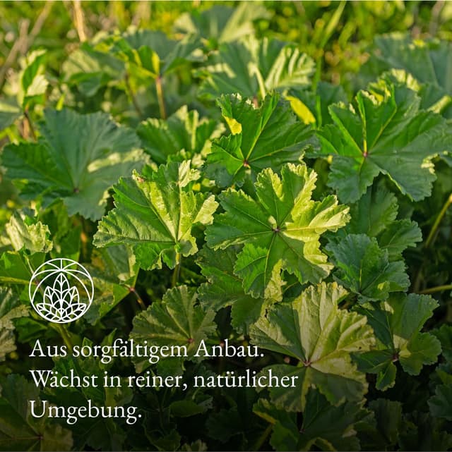 Detalle de Malventee Monte Nativo (300 g) – lose Malvenblätter, schonend getrocknet, ohne Zusatzstoffe