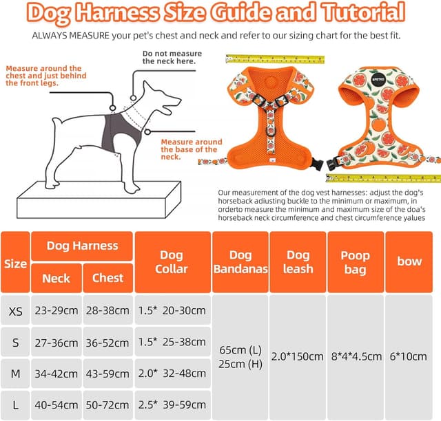 Thumbnail 6 de EPETKO Dog Leash Harness Set for 6