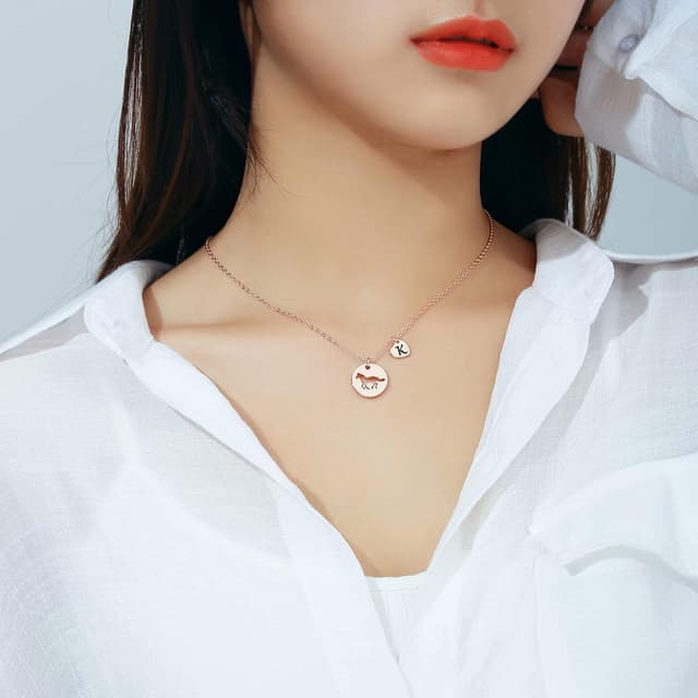 Detalle 2 de TINGN Pferde Mädchen Geschenk Kettenherz mit Buchstaben A–Z aus Edelstahl (16 Zoll)