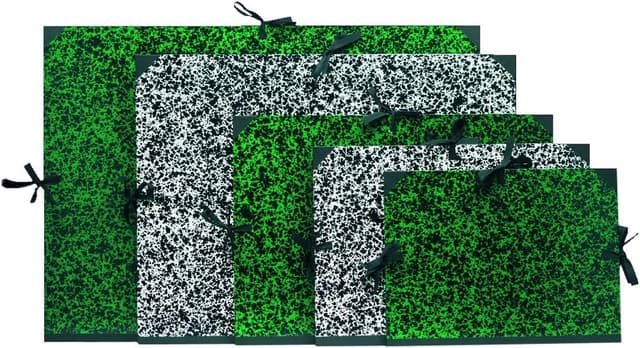 Thumbnail 2 de Exacompta Carton Annonay 26x33 A4