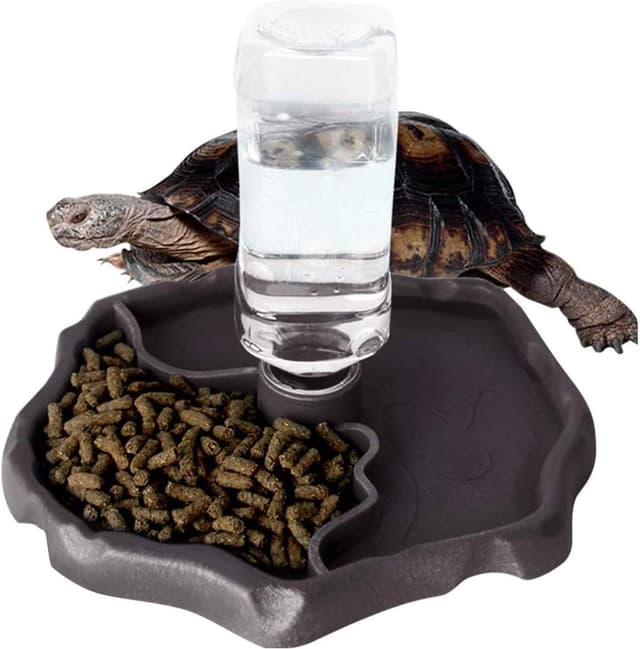 Thumbnail 6 de QIODAZOO Näpfe für Reptilien 200 ml 🐢