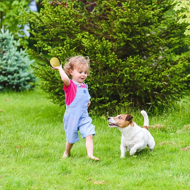 Thumbnail 6 de AMFUN 3PCS Funny Pool Toys: soft quick-drying water jumping balls with net storage bag
