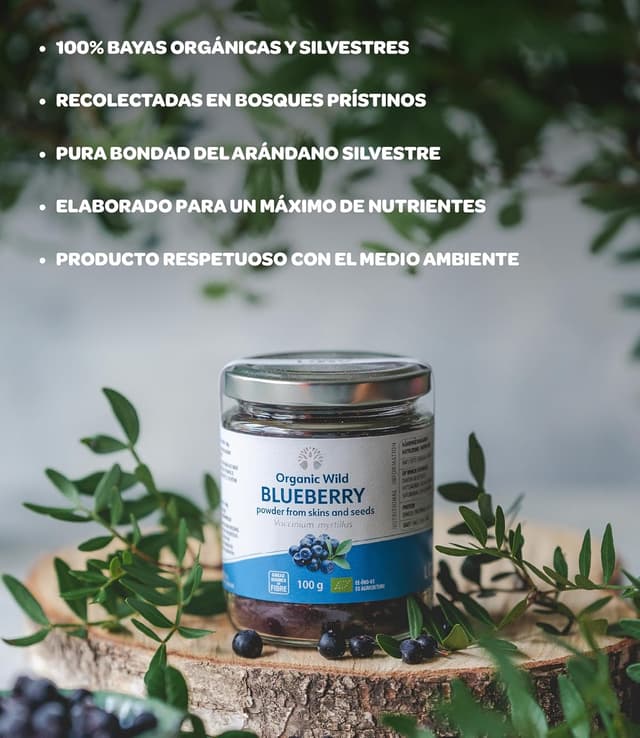 Thumbnail 3 de LOOV Polvo de Arándano Silvestre Orgánico 🍇 100g