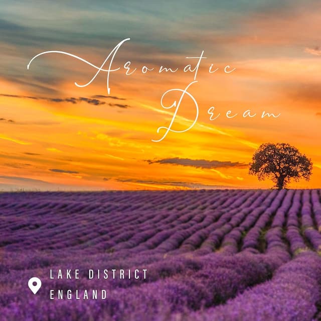 Thumbnail 4 de TRINIDa Sleep Candles Gift Set Lavender