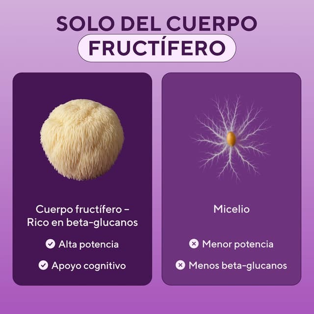 Thumbnail 5 de Melena de León 10.000 mg cápsulas veganas