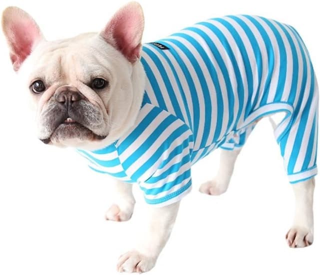 Thumbnail 2 de BT Bear Dog Pajamas Size S