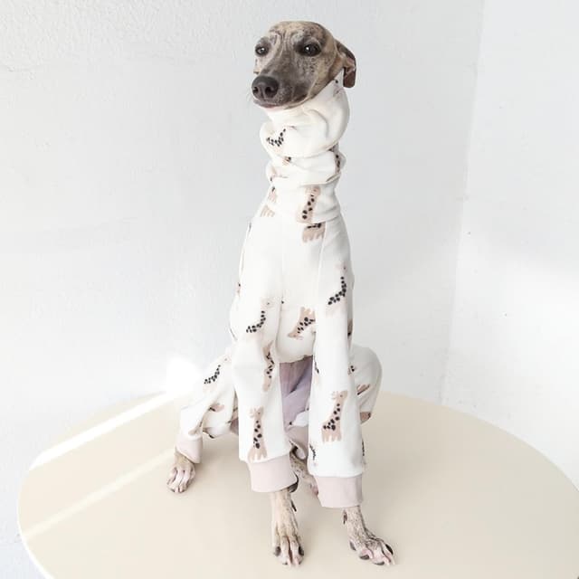 Detalle de Italian Greyhound fleece jumper – warm turtleneck four-leg dog onesie for indoor lounging (Giraffe)