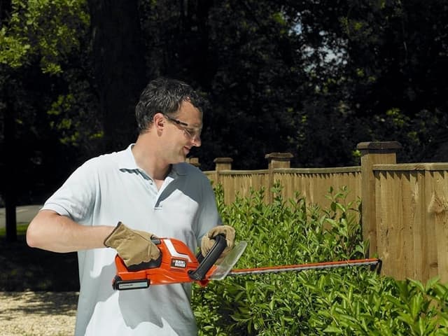 Thumbnail 2 de BLACK+DECKER GTC1845L20 cortasetos 18V, espada 45 cm ✂