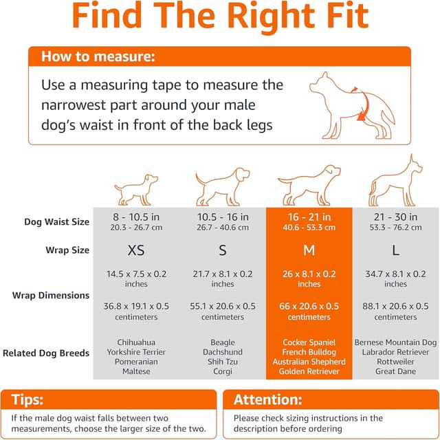 Detalle 2 de Amazon Basics Pañales Desechables para Perros Macho M 🐶, paquete de 50