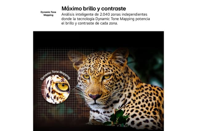 Detalle 2 de LG NANO81 50 pulgadas 4K NanoCell 2025