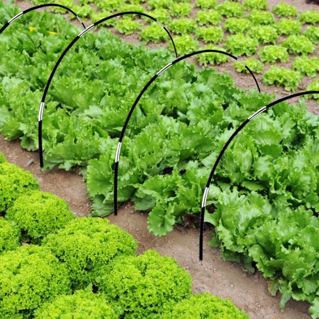 Thumbnail 6 de Pflanztunnel Insektenschutznetz 3x10 m