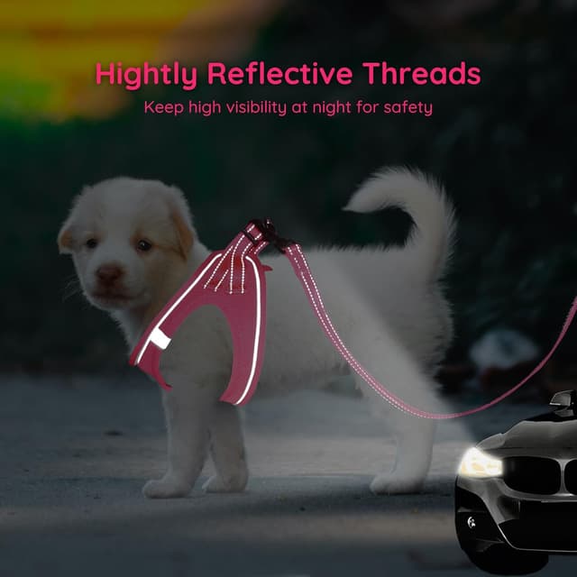 Detalle 2 de Bella & Pal Dog Harness and Leash Set (Step-in Puppy Harness) in Hot Pink, Size M