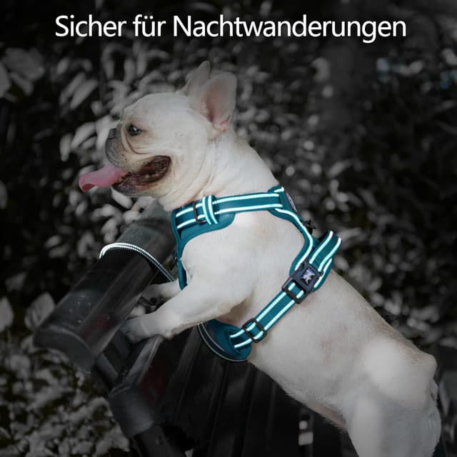 Thumbnail 4 de PoyPet Hundegeschirr Tumalo Teal M, reflektierend